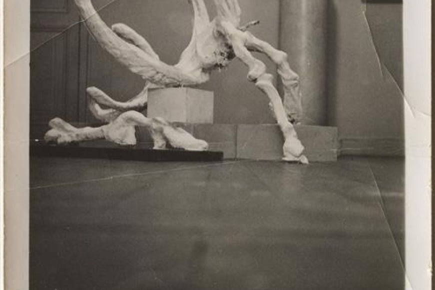 Fotografia de l’escultura inèdita ‘Espectre ornamental de l’erecció’© Salvador Dalí, Fundació Gala-Salvador Dalí, VEGAP, Figueres, 2019 Fotografia de l’escultura inèdita ‘Espectre ornamental de l’erecció’© Salvador Dalí, Fundació Gala-Salvador Dalí, VEGAP, Figueres, 2019