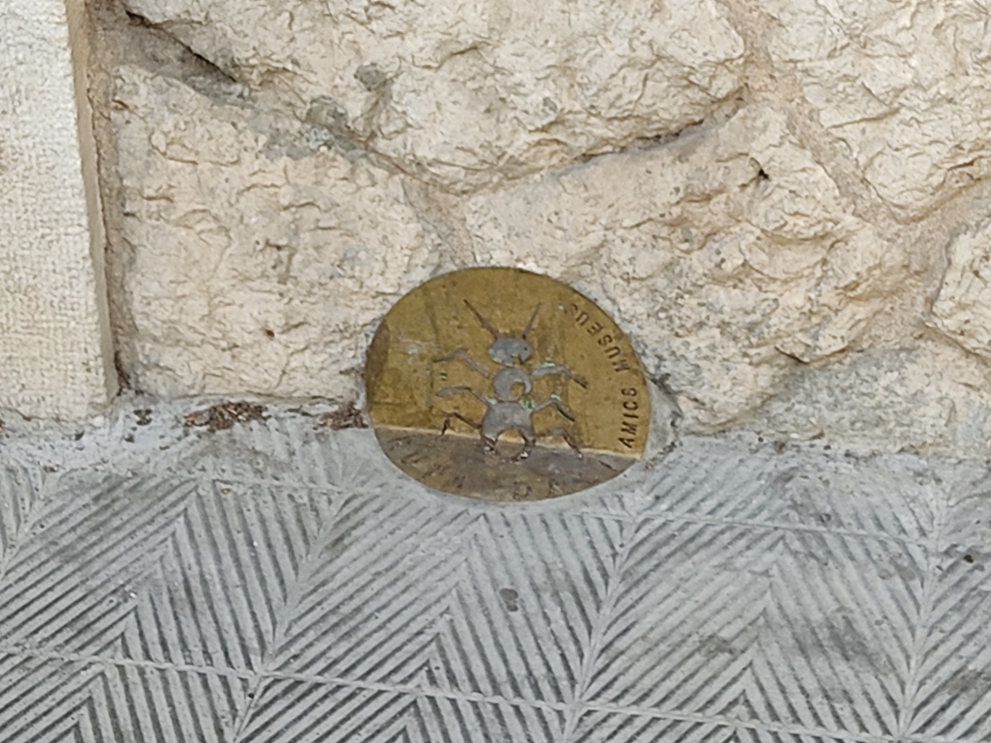 Detall de la formiga trepadora