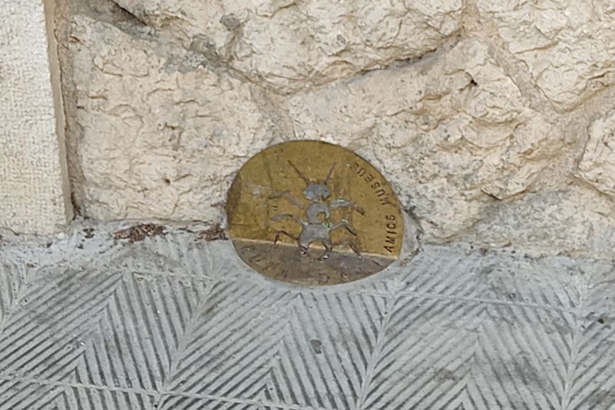 Detall de la formiga trepadora Detall de la formiga trepadora