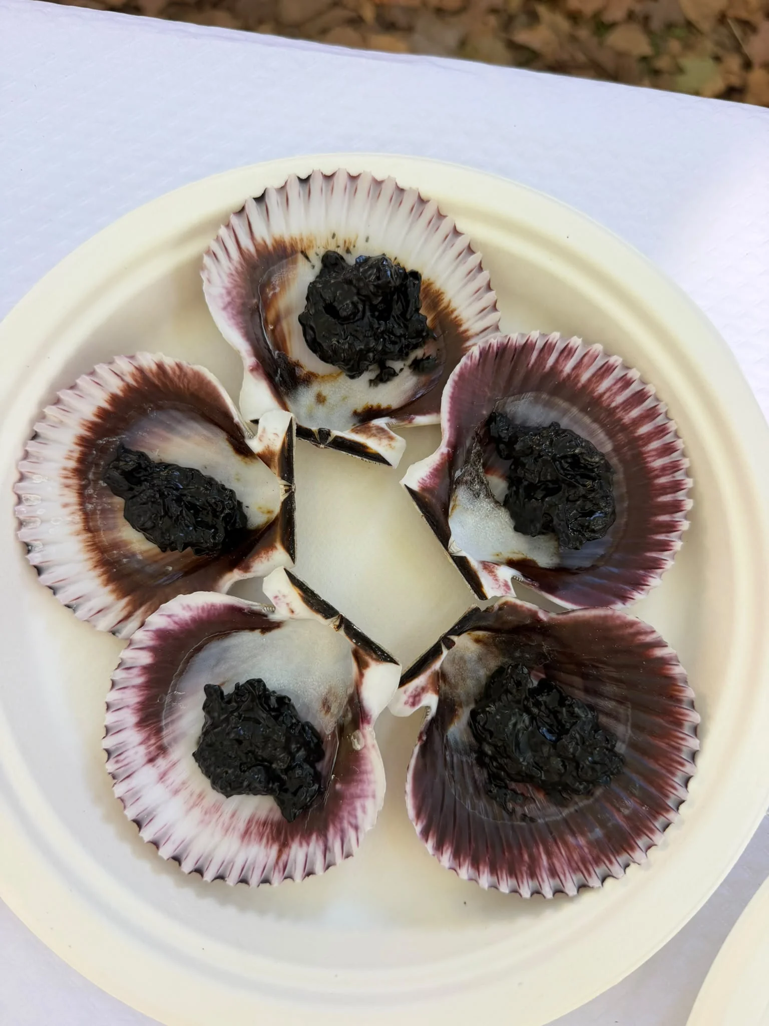 Un allioli negre elaborat amb tinta de calamar i presentat sobre una curculla de mar