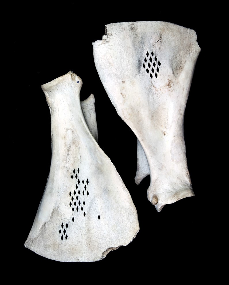 Escàpula | © Adria Ciurana