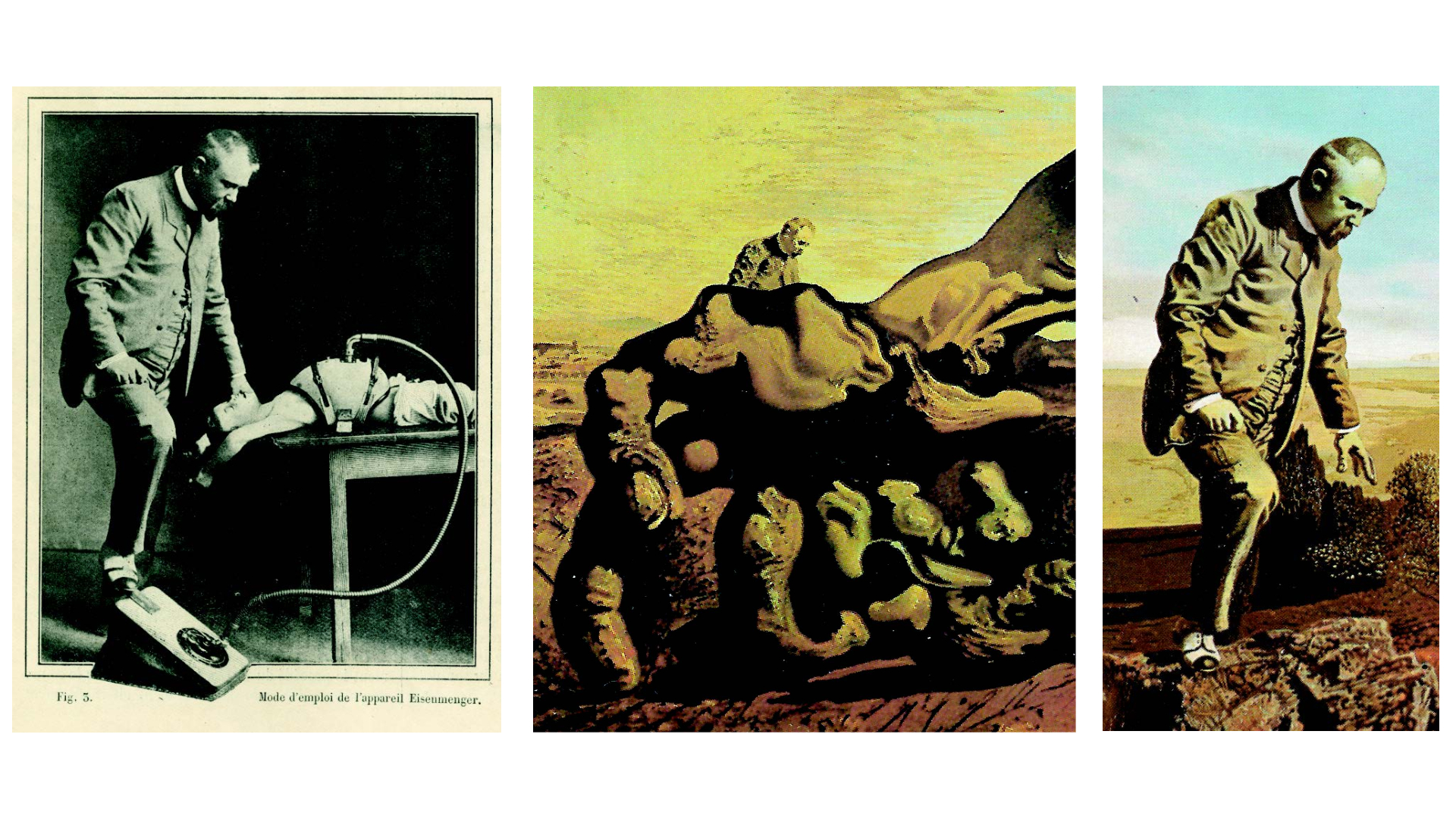 Imatges incloses al llibre de Vicent Santamaria «Lo que Dalí debe a la naturaleza»  | © SD Edicions