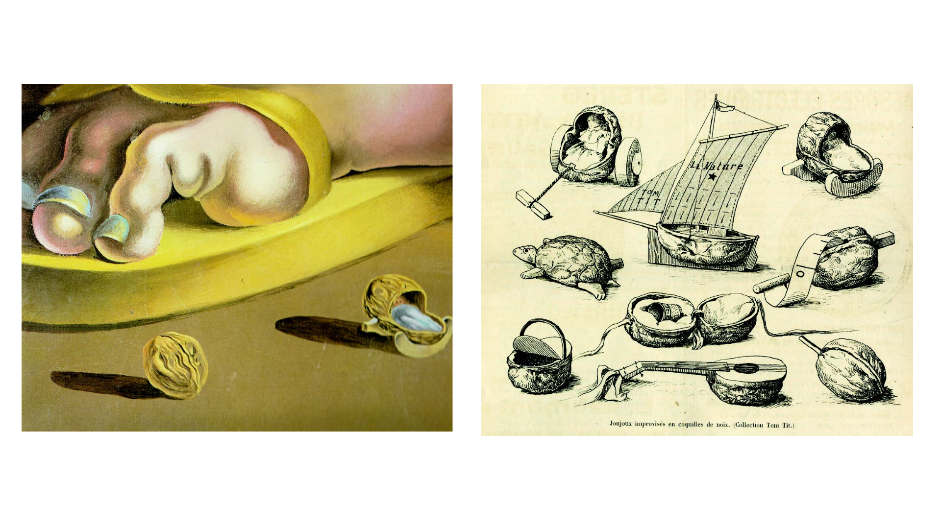 Imatges incloses al llibre de Vicent Santamaria «Lo que Dalí debe a la naturaleza»  | © SD Edicions