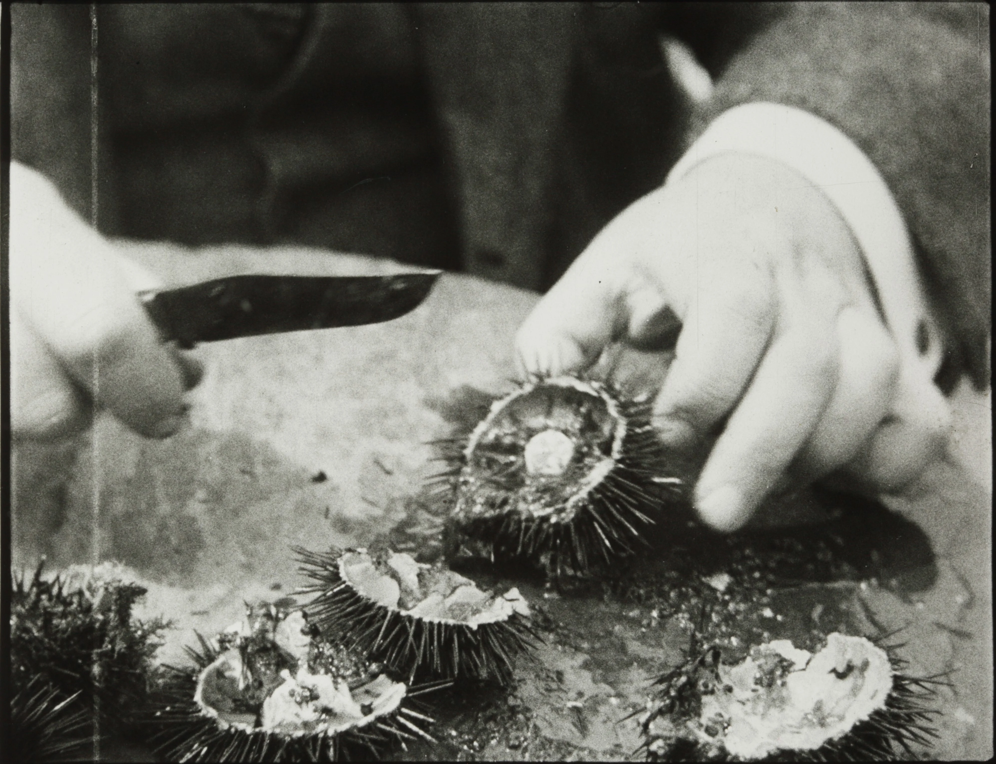 Fotograma del film documental Menjant garotes