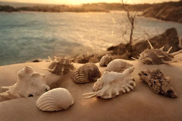 Dalilaroids | © Joan Fontcuberta