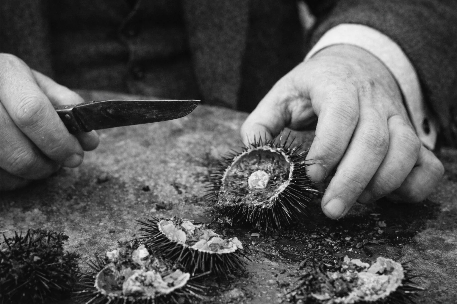 Fotograma del film documental «Menjant garotes» | © Luis Buñuel