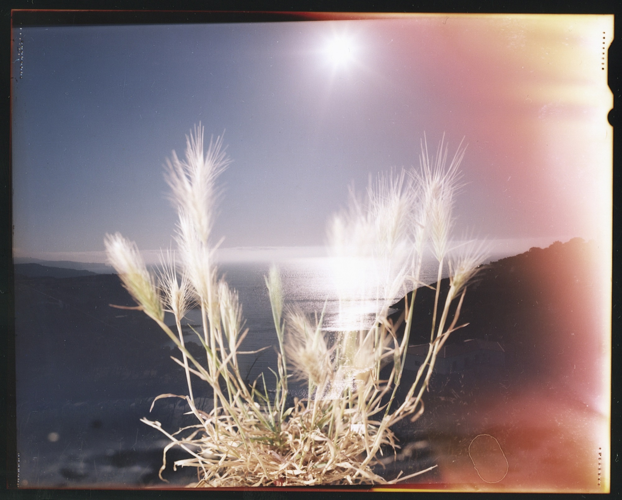 Residència artística InCadaqués 2022 | © Thomas Mailaender