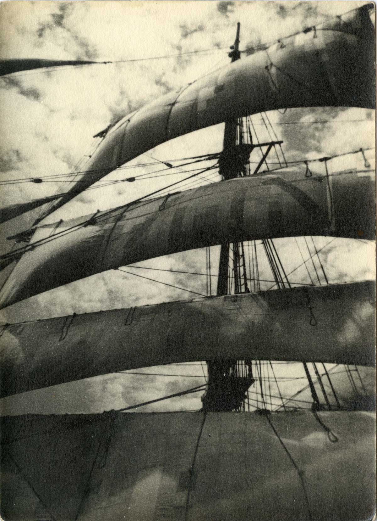 Veles al sol. Mey Rahola. Dècada de 1930 | © Hereus de Mey Rahola